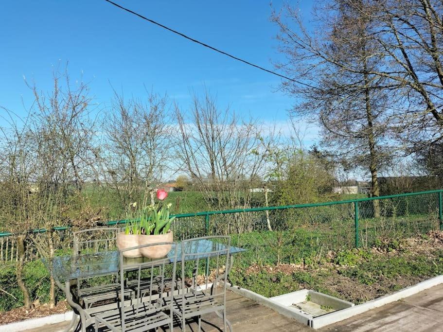 Gite Rural La Ferme Du Semeur-Zaaiershof Lessines Exterior foto